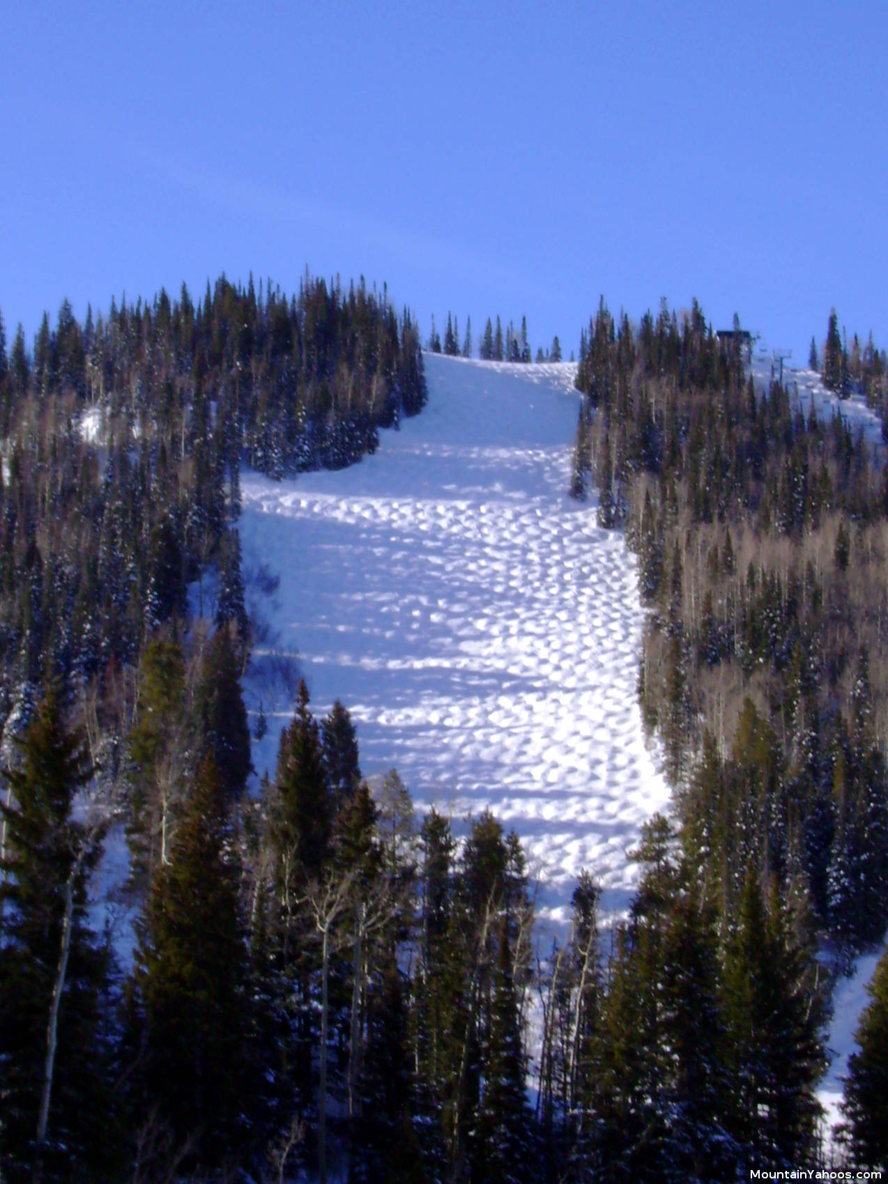 Steamboat mogul ski run: Tornado