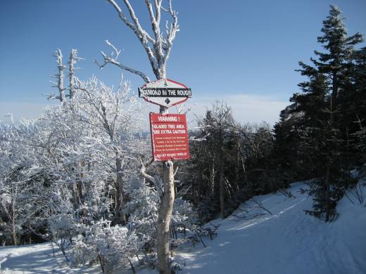 Diamond in the Rough tree run at Stratton