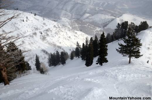 Far East - Shaunas Secret, black diamond ski run