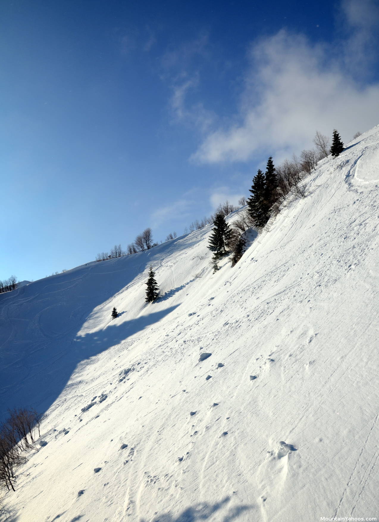 Redfinger, black diamond ski run