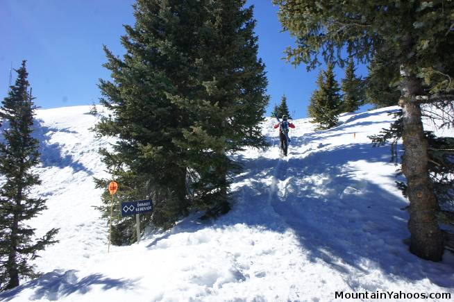 Highline Hike at Taos NM Ski Valley