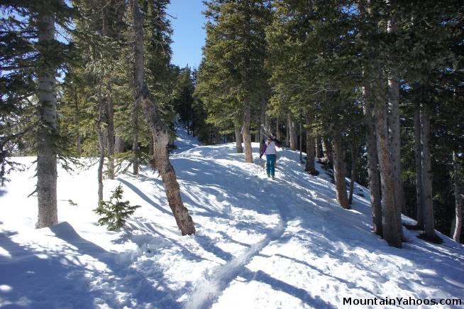 Start of Highline Hike at Taos NM Ski Valley