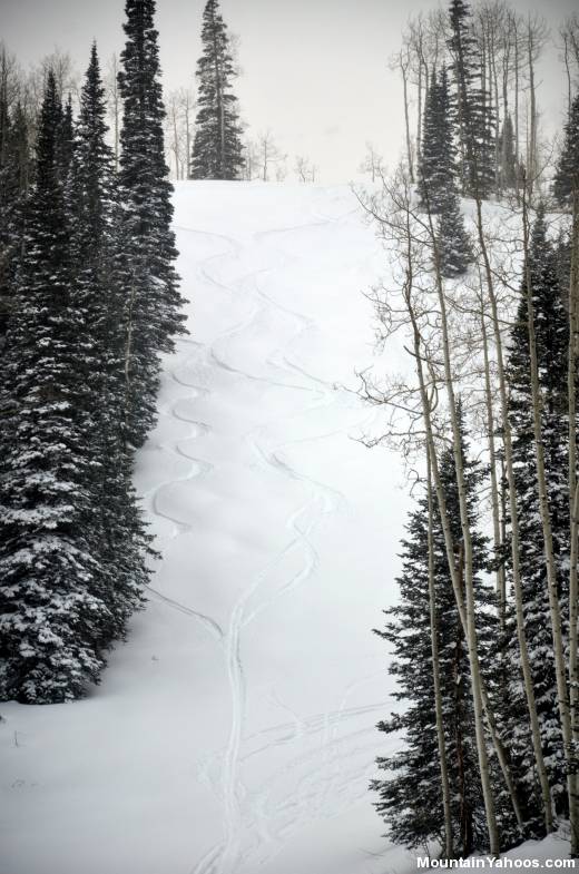 Wren Hollow, black diamond ski run