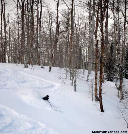 Silverhorse, black diamond ski run