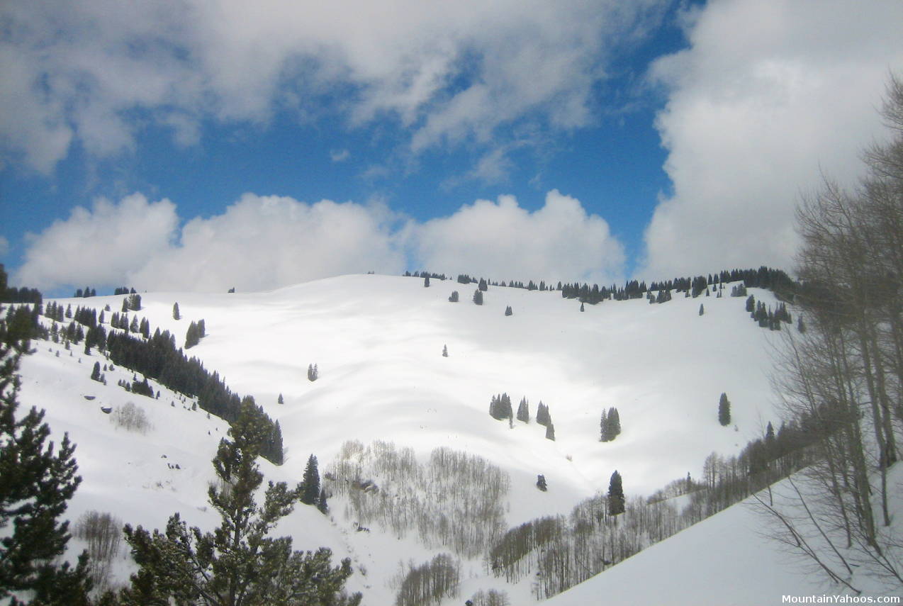 Vail back bowls