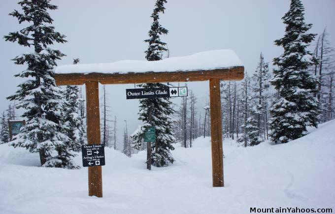 Outer Limits Glade: Blackcomb tree run