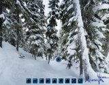 Virtual Tour of Davies Dervish Whistler double black diamond tree run