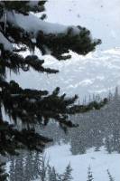 Whistler