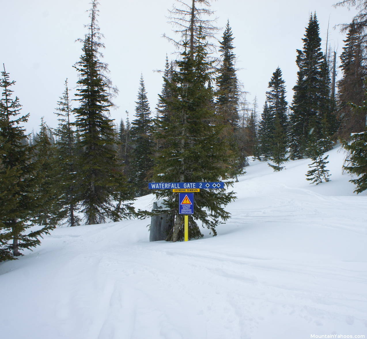 Tree runs: Waterfall Area Gate