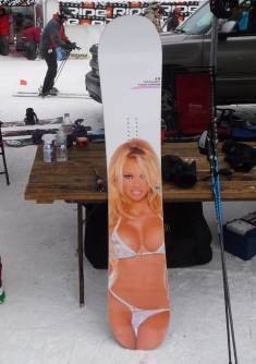 Pam Anderson board