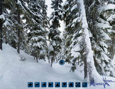 Whistler Blackcomb: Davies tree run